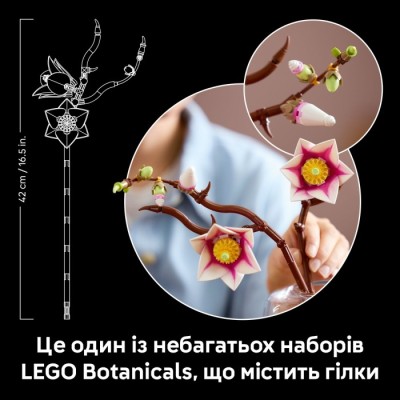 Конструктор LEGO® Botanicals Гілки магнолії (11510)
