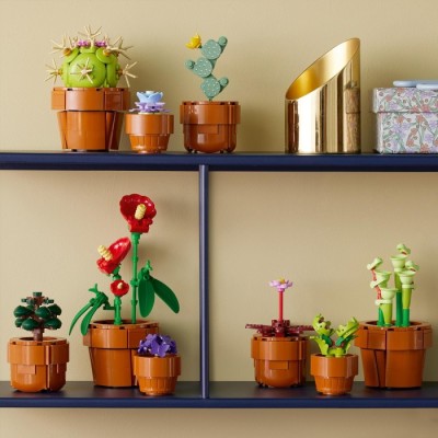 Конструктор LEGO® Botanicals Мініатюрні рослини (10329)