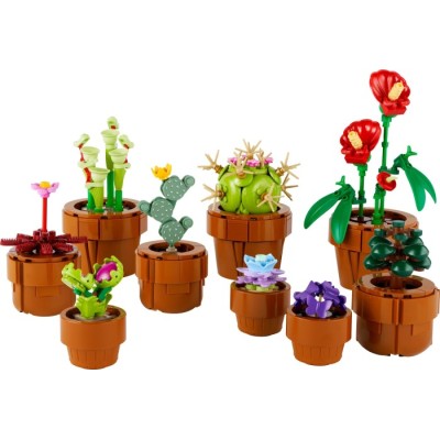 Конструктор LEGO® Botanicals Мініатюрні рослини (10329)