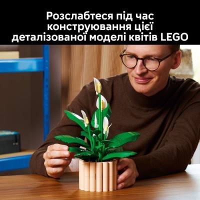 Конструктор LEGO® Botanicals Спатифілум (11504)