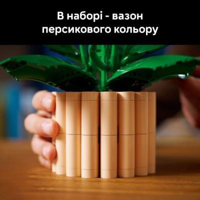 Конструктор LEGO® Botanicals Спатифілум (11504)