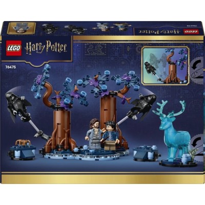 Конструктор LEGO® Harry Potter Заборонений ліс: Експекто патронум (76475)