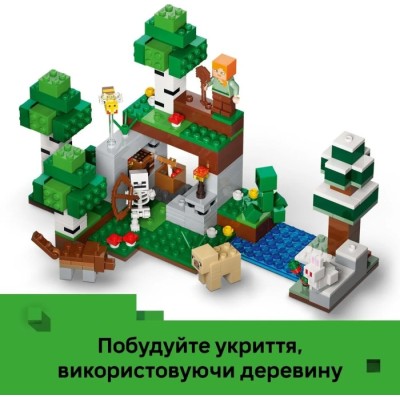 Конструктор LEGO® Minecraft Пригода першої ночі (21593)