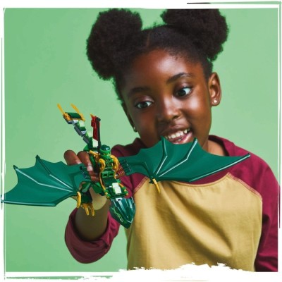 Конструктор LEGO® Ninjago Зелений лісовий дракон Ллойда (71829)